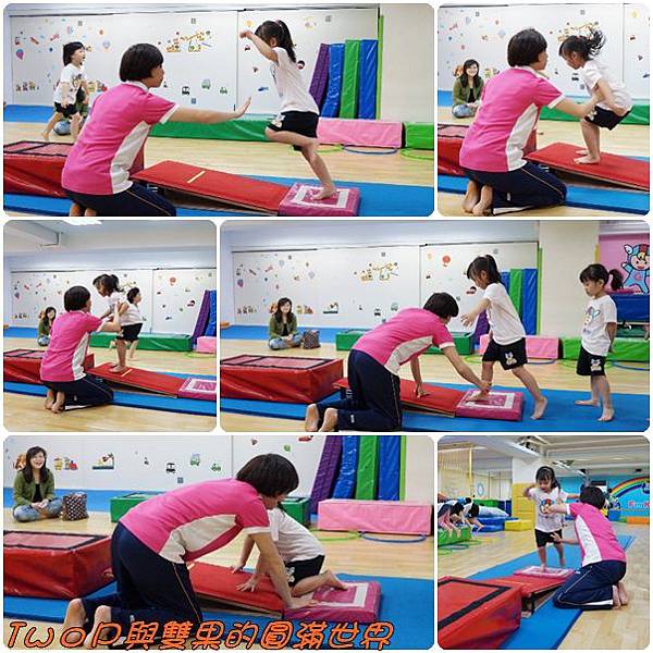 cats10.jpg cats10.jpg