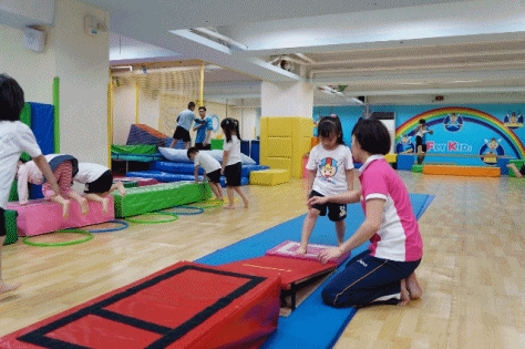 cats11.gif cats11.gif