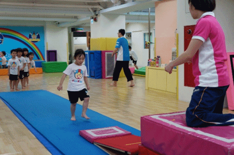 cats14.gif cats14.gif