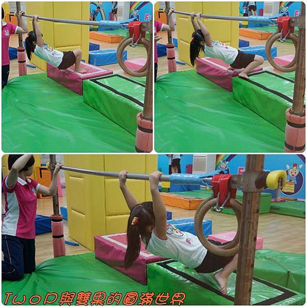 cats23.jpg cats23.jpg