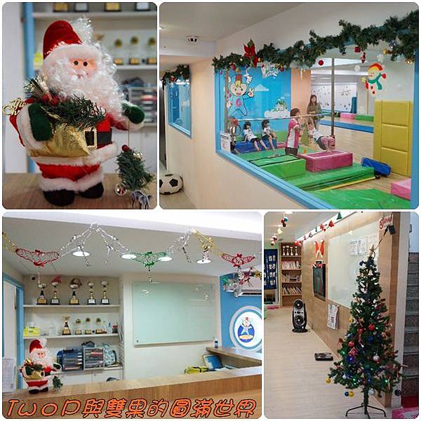 cats25.jpg cats25.jpg