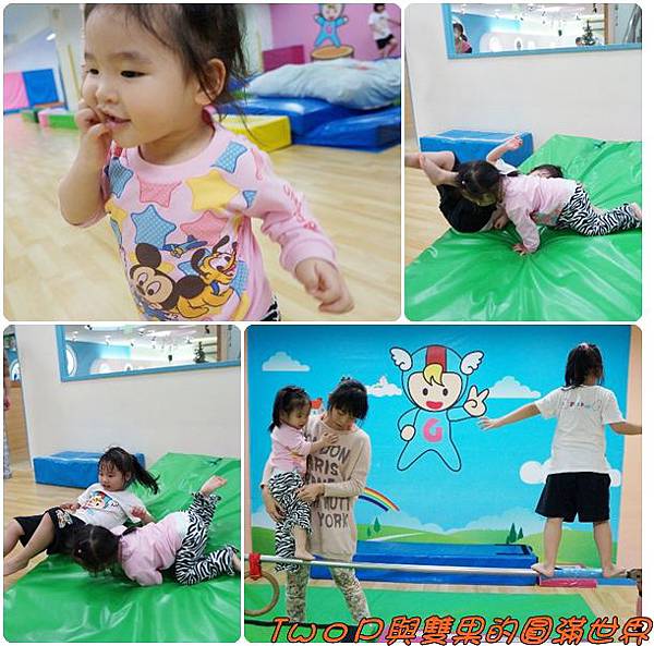 cats28.jpg cats28.jpg