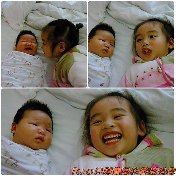 cats17 不會刻意隔離.jpg