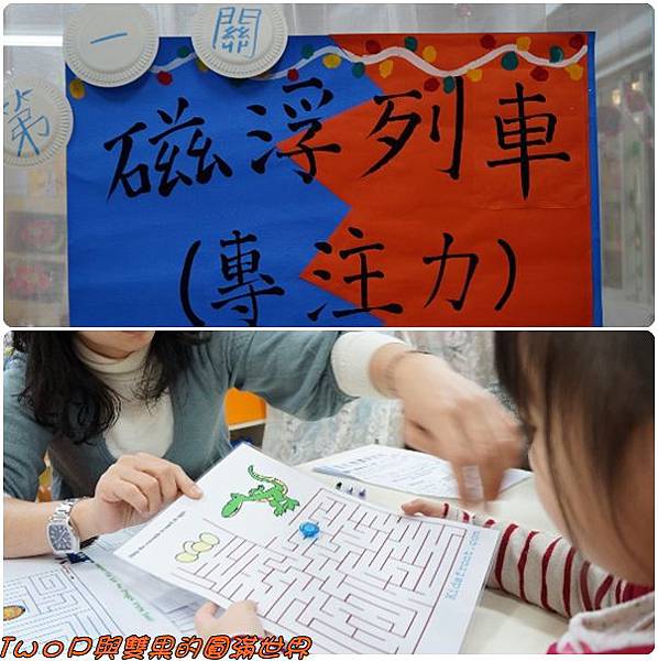 cats11.jpg cats11.jpg