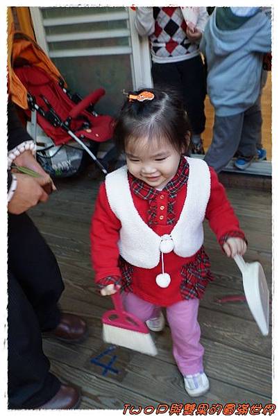 cats14.jpg cats14.jpg