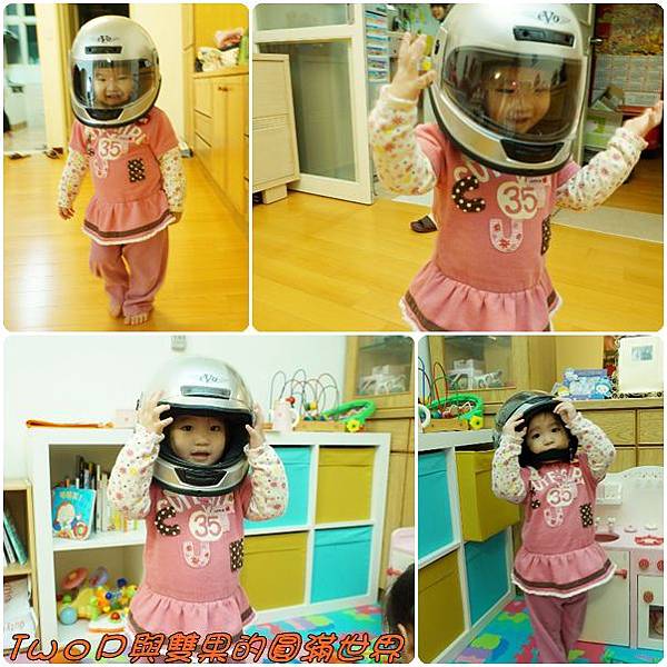 cats18.jpg cats18.jpg