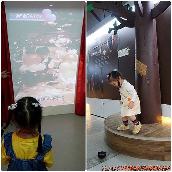 cats18.jpg cats18.jpg