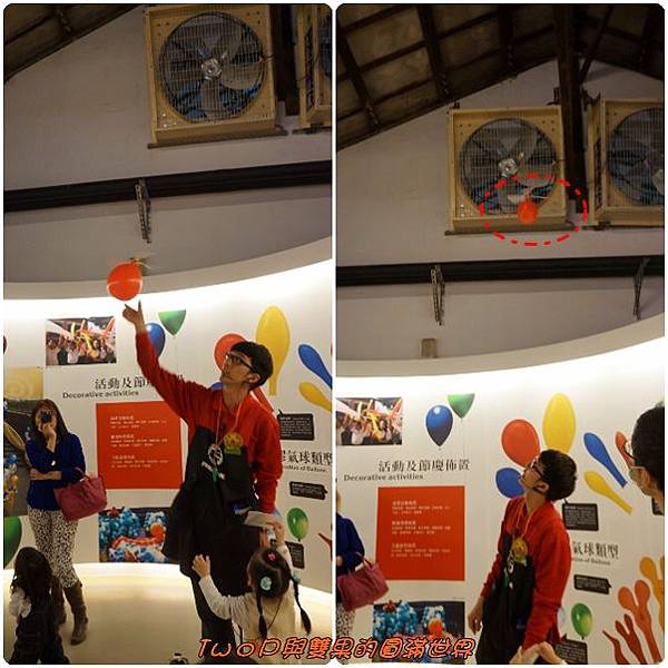 cats26.jpg cats26.jpg