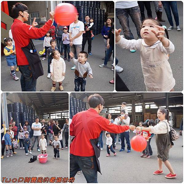 cats30.jpg cats30.jpg