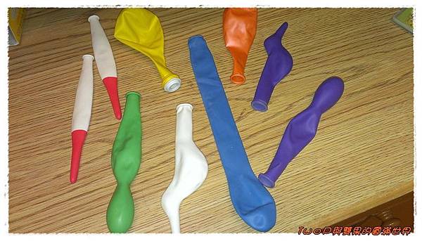 cats32-2.jpg cats32-2.jpg