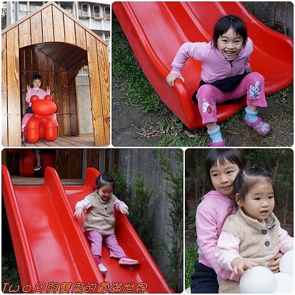 cats17.jpg cats17.jpg