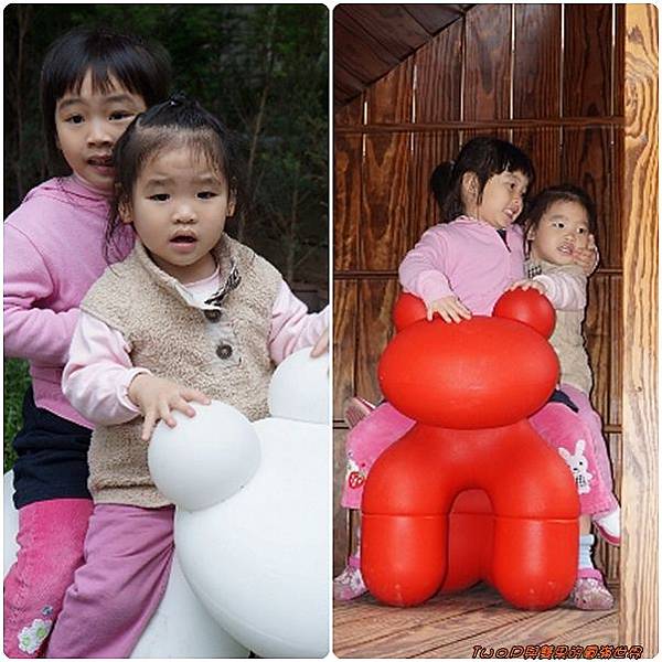 cats18.jpg cats18.jpg