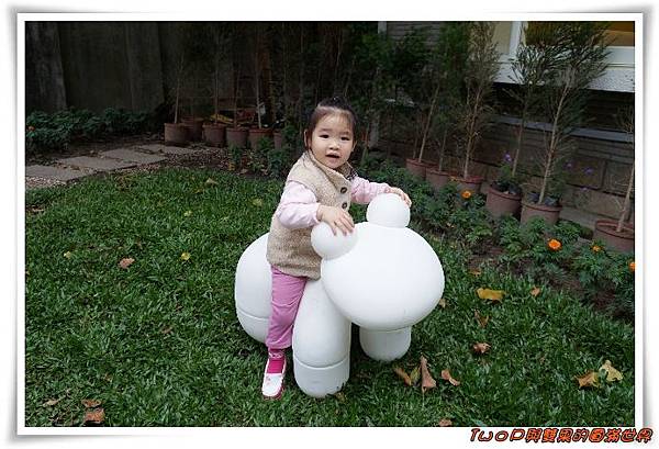 cats19.jpg cats19.jpg