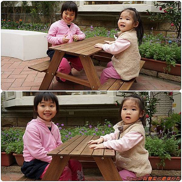 cats20.jpg cats20.jpg