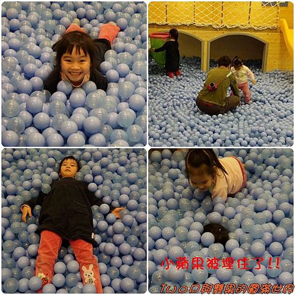 cats22.jpg cats22.jpg