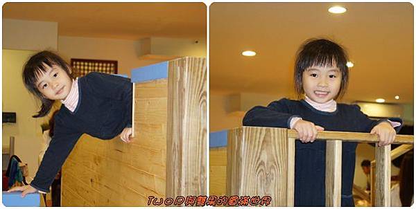 cats24.jpg cats24.jpg