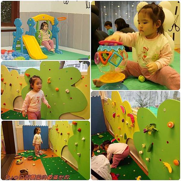 cats25.jpg cats25.jpg