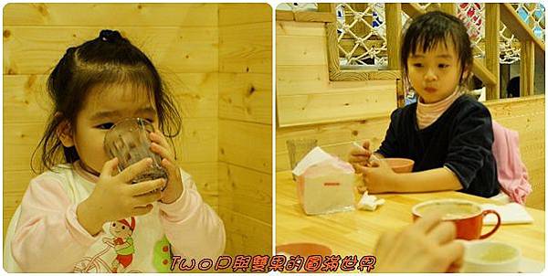 cats27.jpg cats27.jpg