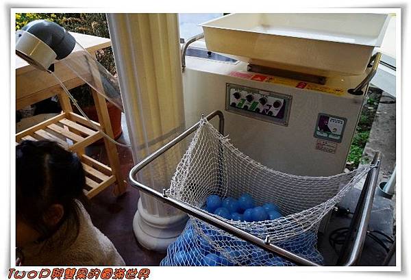 cats6-1.jpg cats6-1.jpg