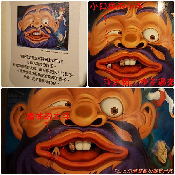 cats11.jpg cats11.jpg