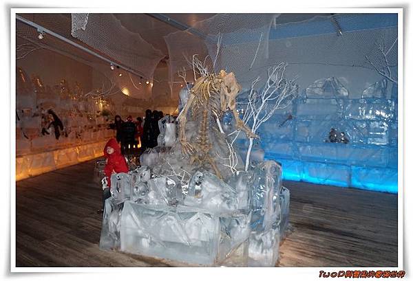 cats17.jpg cats17.jpg