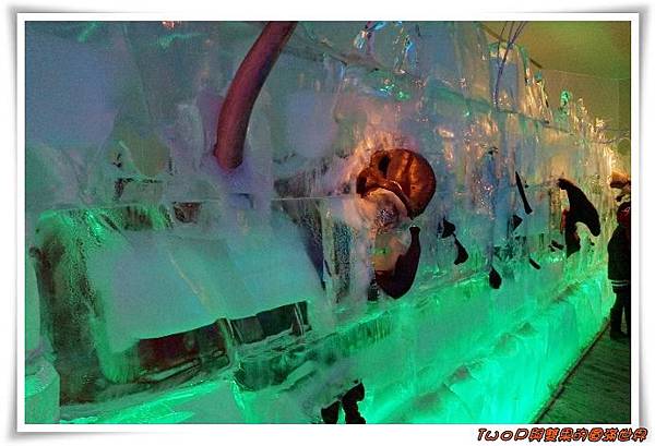 cats17-1.jpg cats17-1.jpg