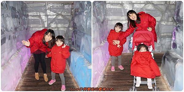 cats18.jpg cats18.jpg