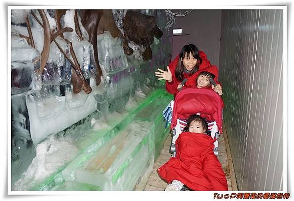 cats19.jpg cats19.jpg