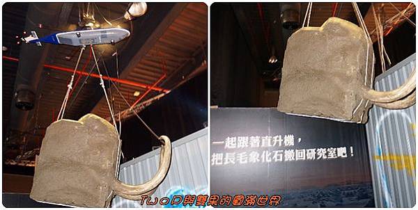 cats21.jpg cats21.jpg