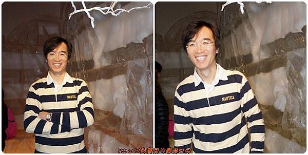 cats20.jpg cats20.jpg