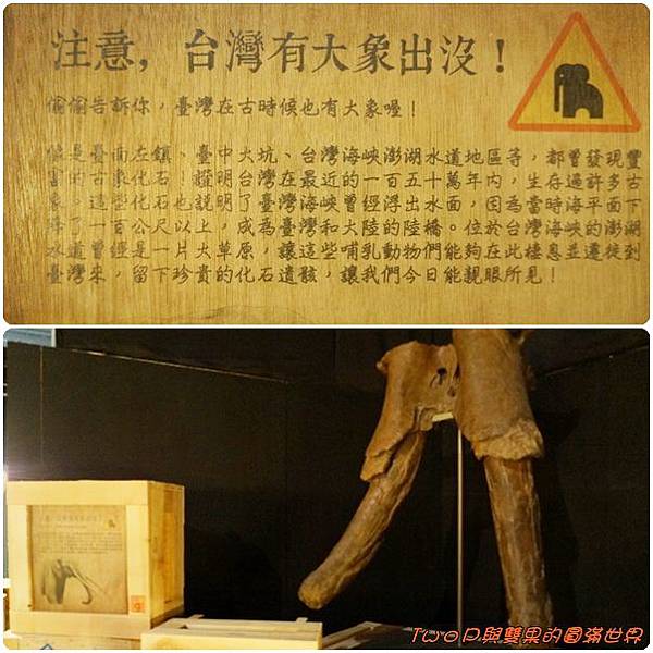 cats24.jpg cats24.jpg