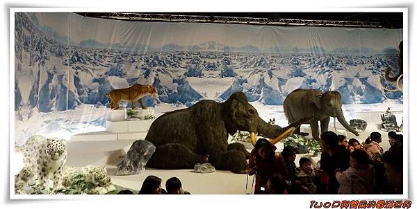 cats25.jpg cats25.jpg