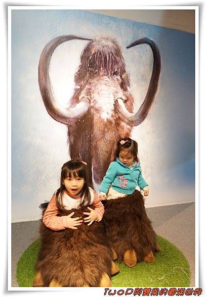 cats28.jpg cats28.jpg