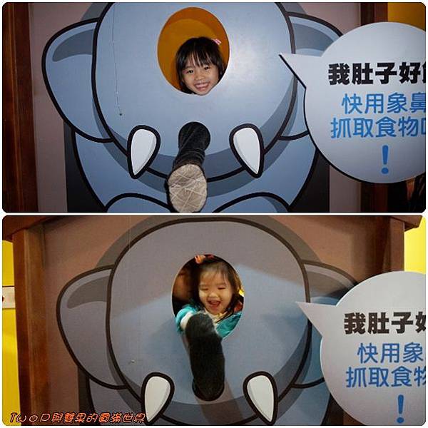 cats29.jpg cats29.jpg