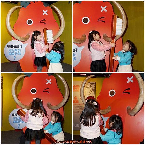 cats30.jpg cats30.jpg