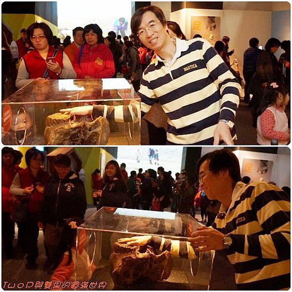 cats31.jpg cats31.jpg