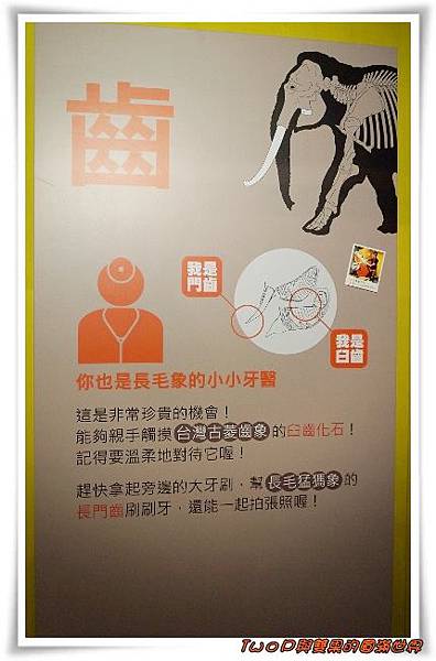 cats32.jpg cats32.jpg