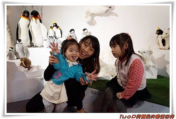 cats33.jpg cats33.jpg