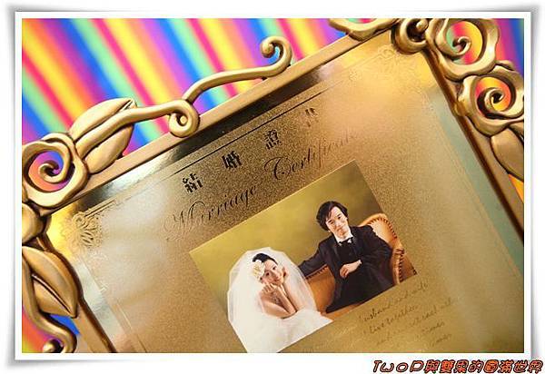 cats (651x447).jpg cats (651x447).jpg