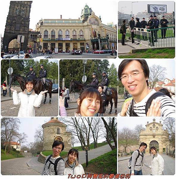 cats10.jpg cats10.jpg