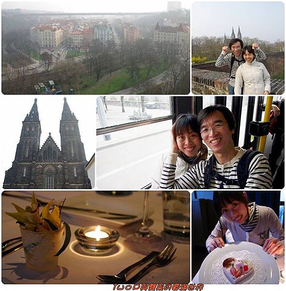 cats11.jpg cats11.jpg