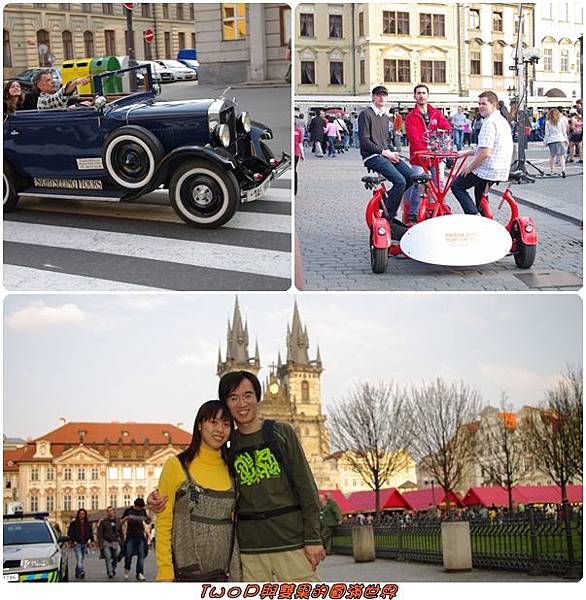 cats12.jpg cats12.jpg