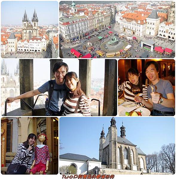 cats13.jpg cats13.jpg