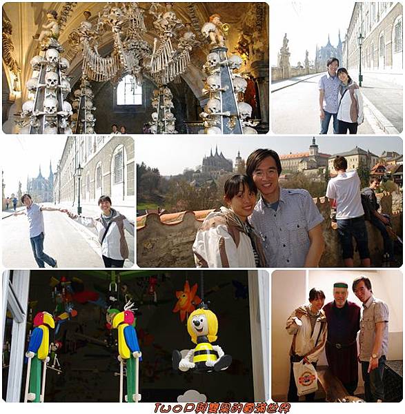 cats14.jpg cats14.jpg