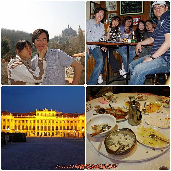 cats15.jpg cats15.jpg