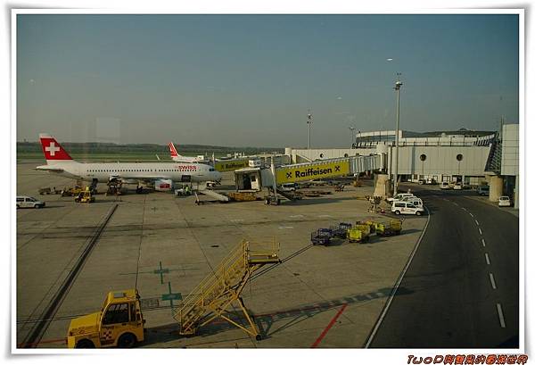 cats16.jpg cats16.jpg