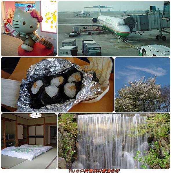 cats17.jpg cats17.jpg