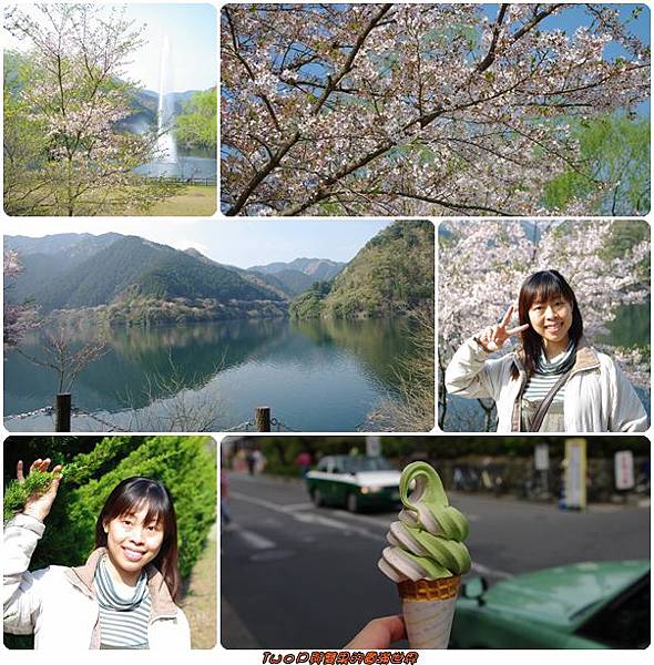 cats19.jpg cats19.jpg