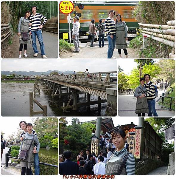 cats20.jpg cats20.jpg