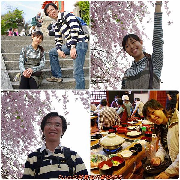 cats21.jpg cats21.jpg